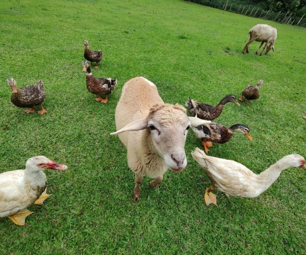 WhatsApp-Image-2023-01-22-at-11.05.27-1-1